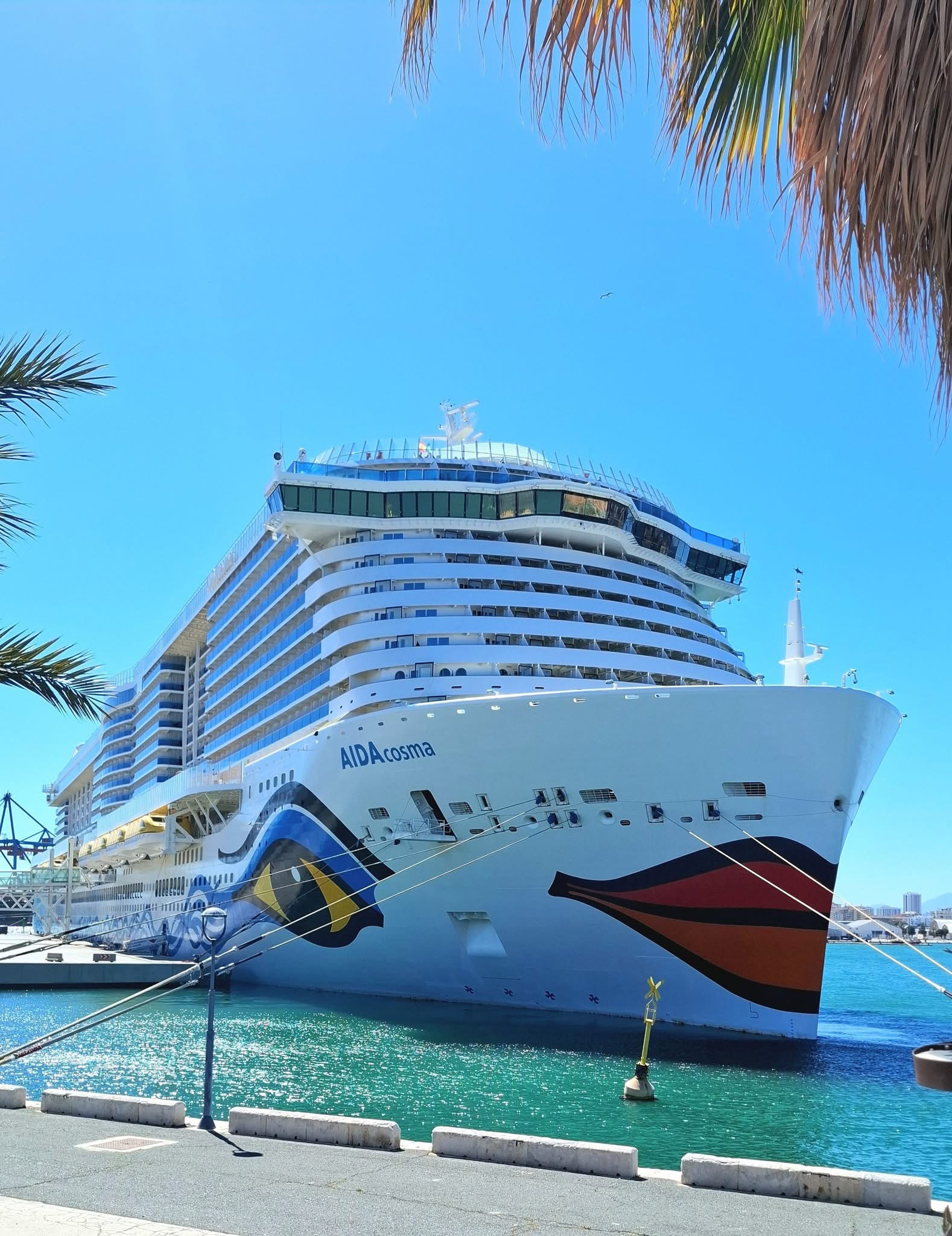 AIDA  Schiff von Carina Kolici